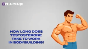 How Long Does Testosterone Take to Work in Bodybuilding?
